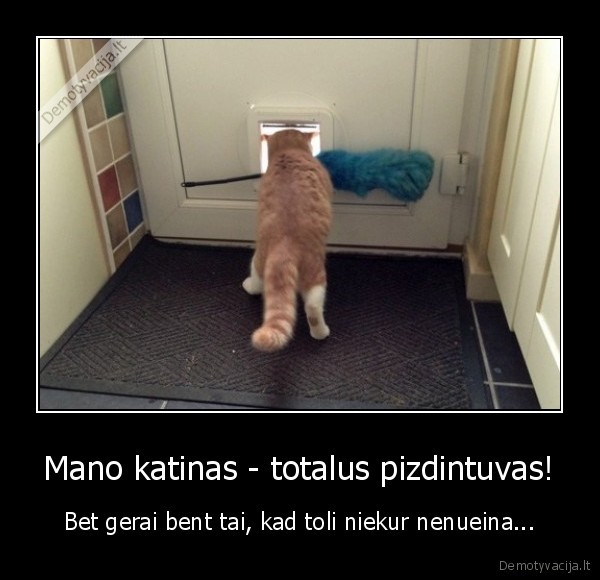 Mano katinas - totalus pizdintuvas! - Bet gerai bent tai, kad toli niekur nenueina...