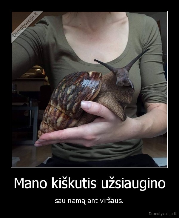 Mano kiškutis užsiaugino - sau namą ant viršaus.