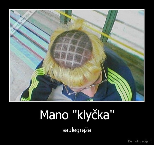 Mano "klyčka" - saulėgrąža