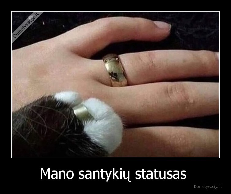 Mano santykių statusas  - 