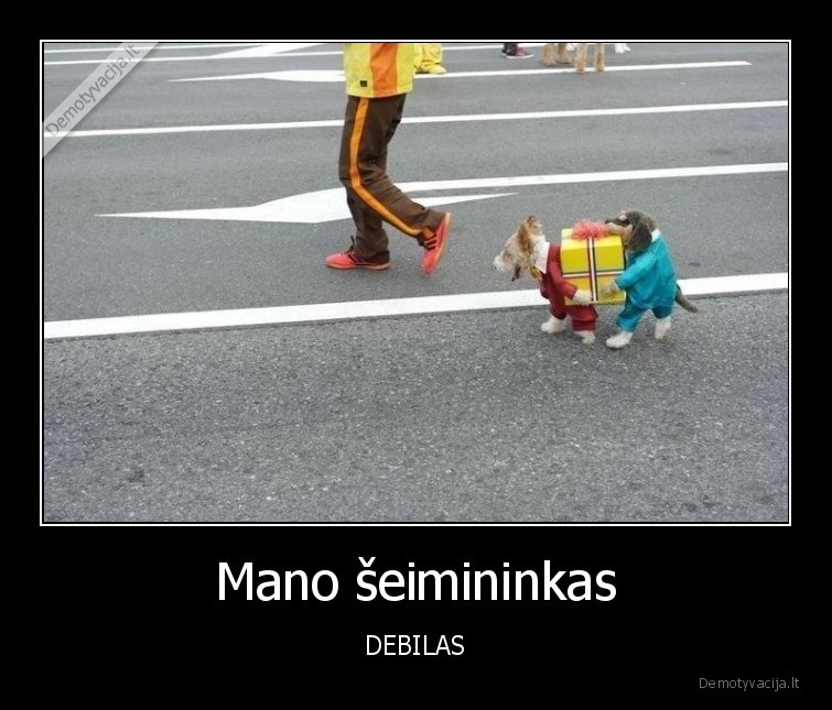 Mano šeimininkas - DEBILAS