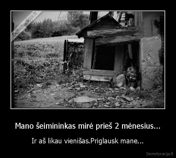 Mano šeimininkas mirė prieš 2 mėnesius... - Ir aš likau vienišas.Priglausk mane...