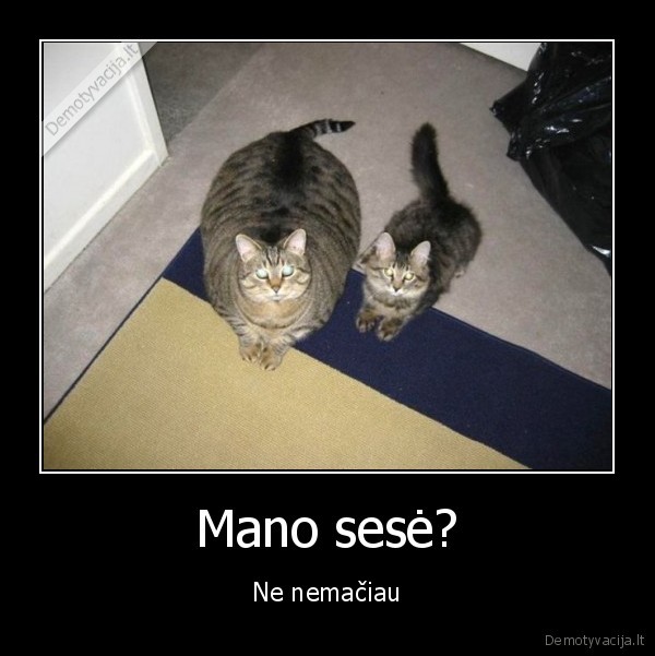 Mano sesė? - Ne nemačiau