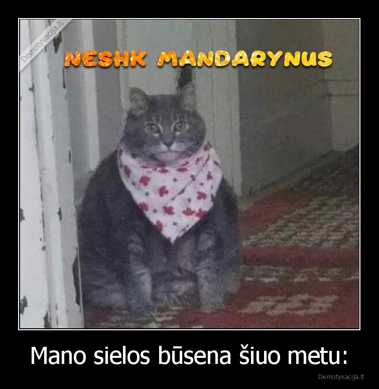 Mano sielos būsena šiuo metu: - 