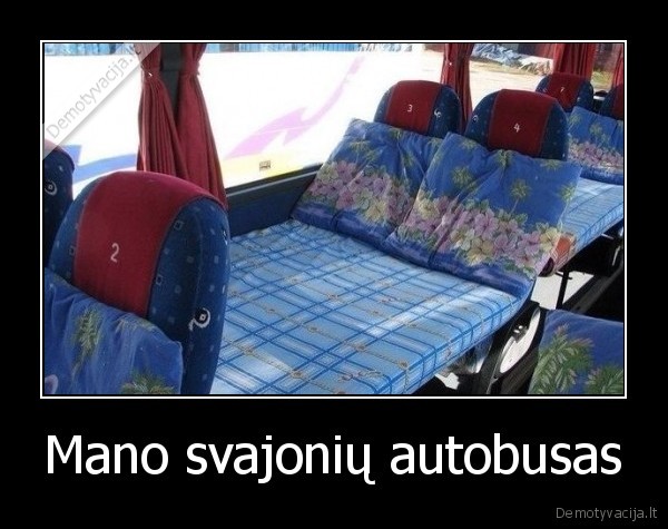 Mano svajonių autobusas - 