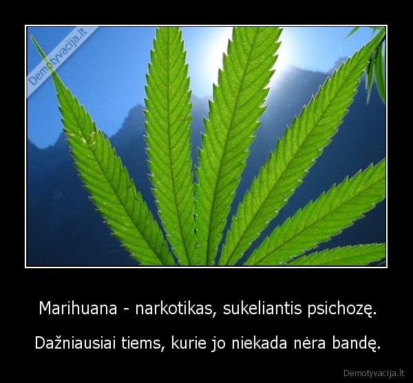 Marihuana - narkotikas, sukeliantis psichozę. - Dažniausiai tiems, kurie jo niekada nėra bandę.