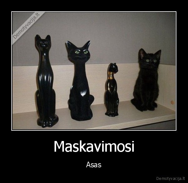 Maskavimosi - Asas