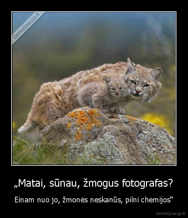 „Matai, sūnau, žmogus fotografas? - Einam nuo jo, žmonės neskanūs, pilni chemijos“