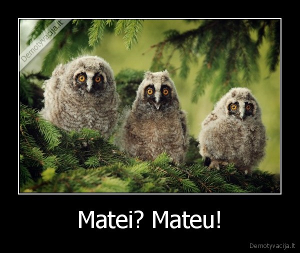 Matei? Mateu! - 