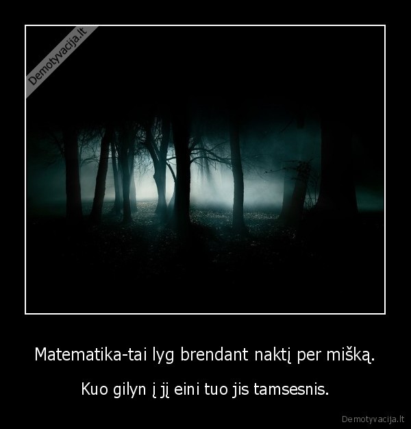 Matematika-tai lyg brendant naktį per mišką. - Kuo gilyn į jį eini tuo jis tamsesnis.