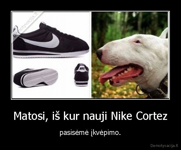 Nike cortez bull outlet terrier