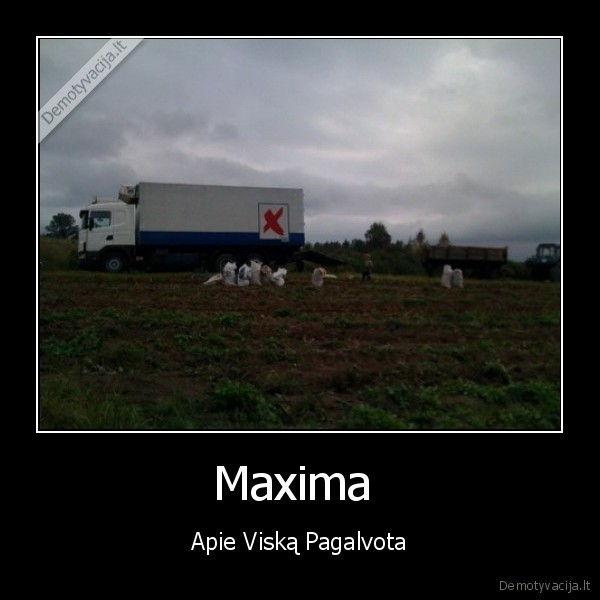 Maxima  - Apie Viską Pagalvota