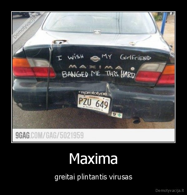 Maxima - greitai plintantis virusas