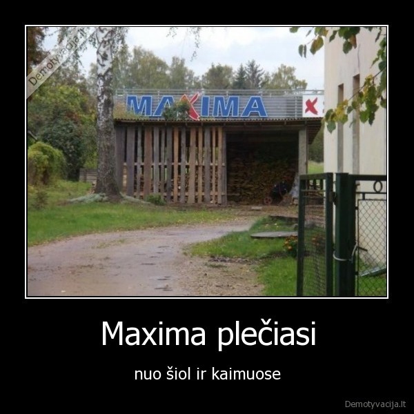 Maxima plečiasi - nuo šiol ir kaimuose