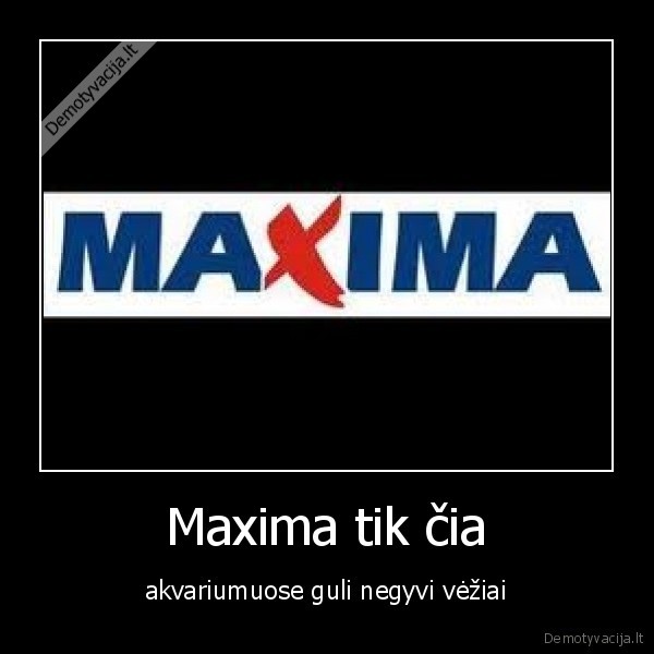 Maxima tik čia - akvariumuose guli negyvi vėžiai