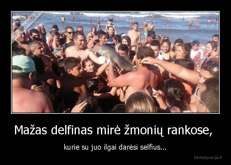 Mažas delfinas mirė žmonių rankose,  - kurie su juo ilgai darėsi selfius...