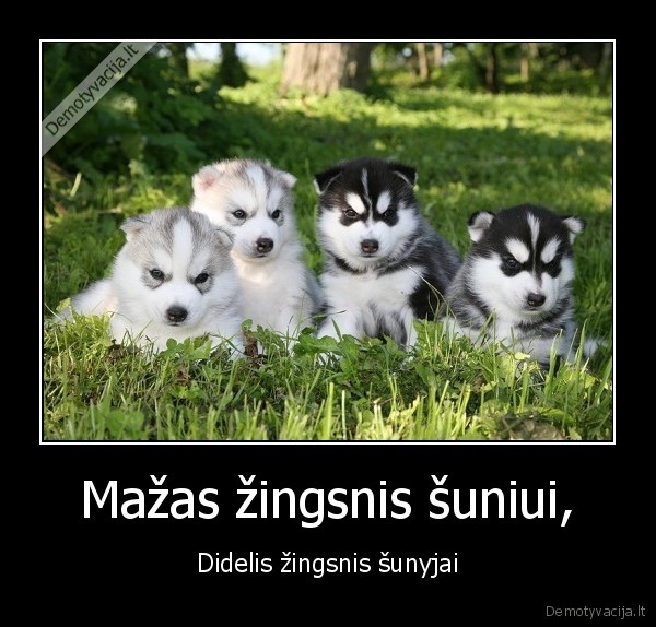 Mažas žingsnis šuniui, - Didelis žingsnis šunyjai