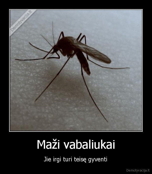 Maži vabaliukai - Jie irgi turi teisę gyventi