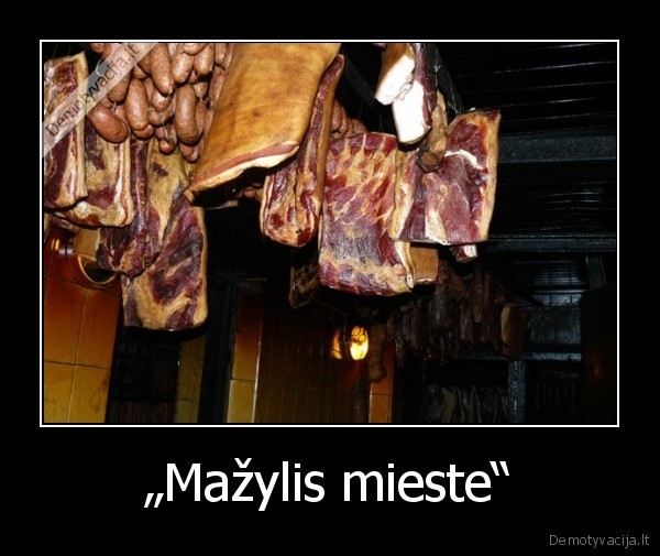 „Mažylis mieste“ - 