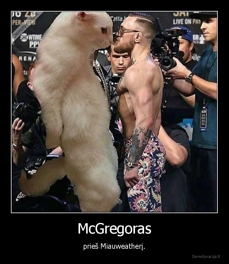 McGregoras - prieš Miauweatherį.