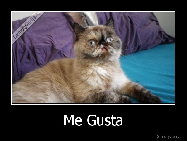 Me Gusta - 