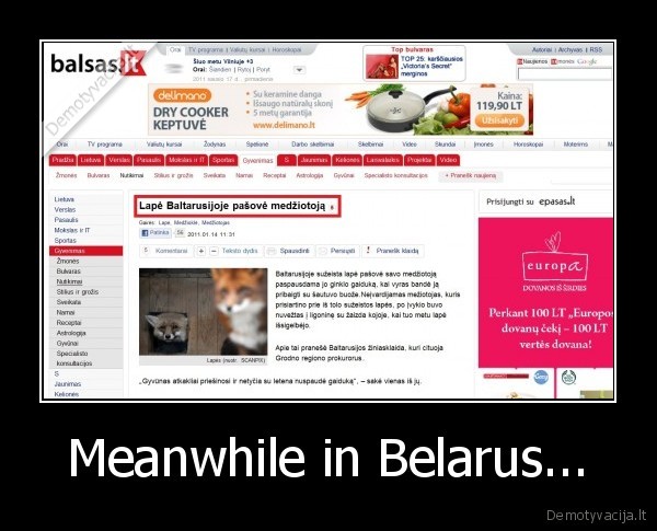 Meanwhile in Belarus... - 