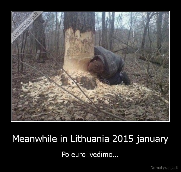 Meanwhile in Lithuania 2015 january - Po euro ivedimo...