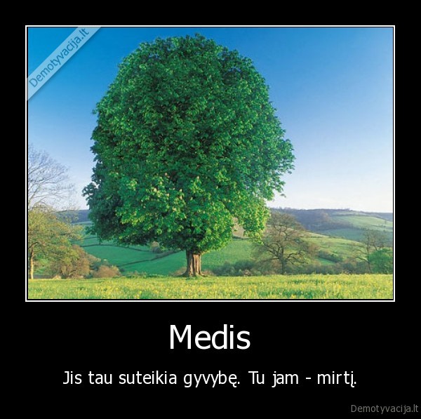 Medis - Jis tau suteikia gyvybę. Tu jam - mirtį.