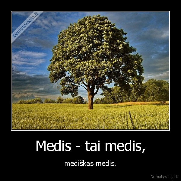 Medis - tai medis, - mediškas medis.