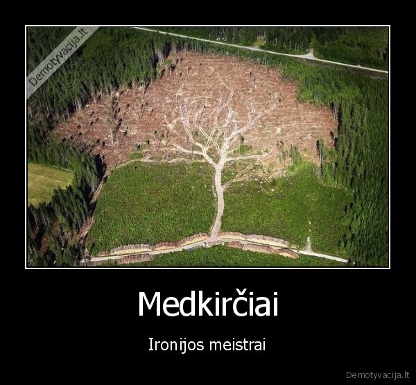 Medkirčiai - Ironijos meistrai