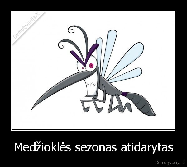 Medžioklės sezonas atidarytas - 