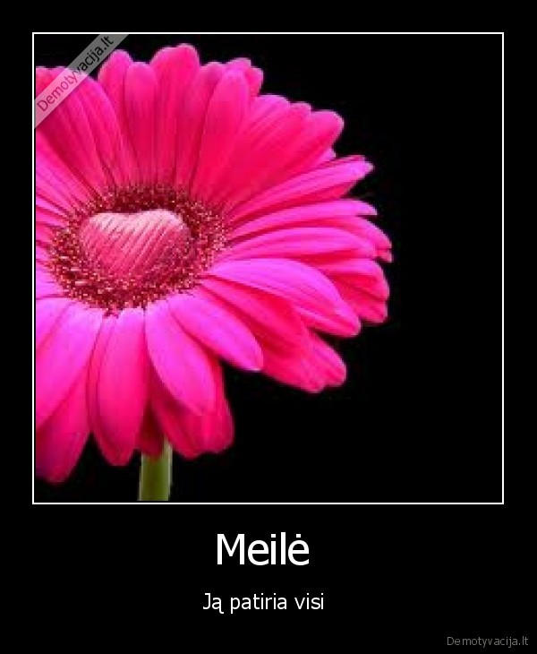 Meilė  - Ją patiria visi 