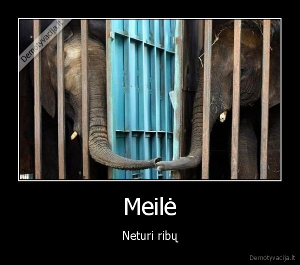 Meilė - Neturi ribų