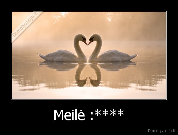 Meilė :**** - 