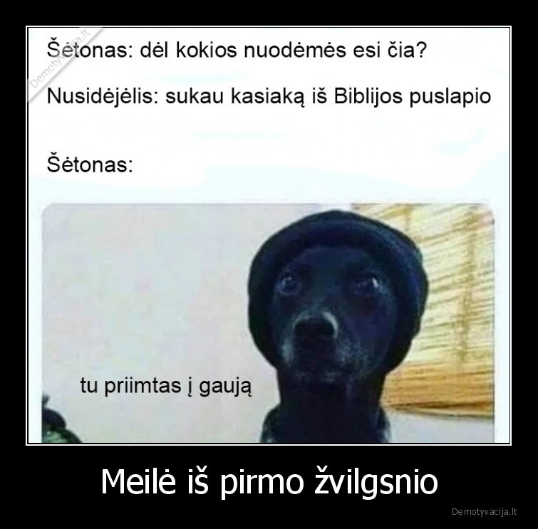 Meilė iš pirmo žvilgsnio - 