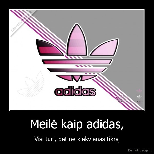 Meilė kaip adidas, - Visi turi, bet ne kiekvienas tikrą