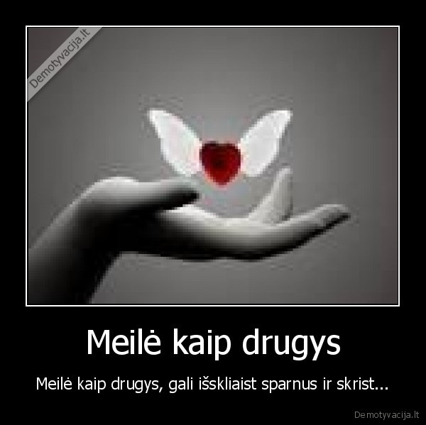 Meilė kaip drugys - Meilė kaip drugys, gali išskliaist sparnus ir skrist...