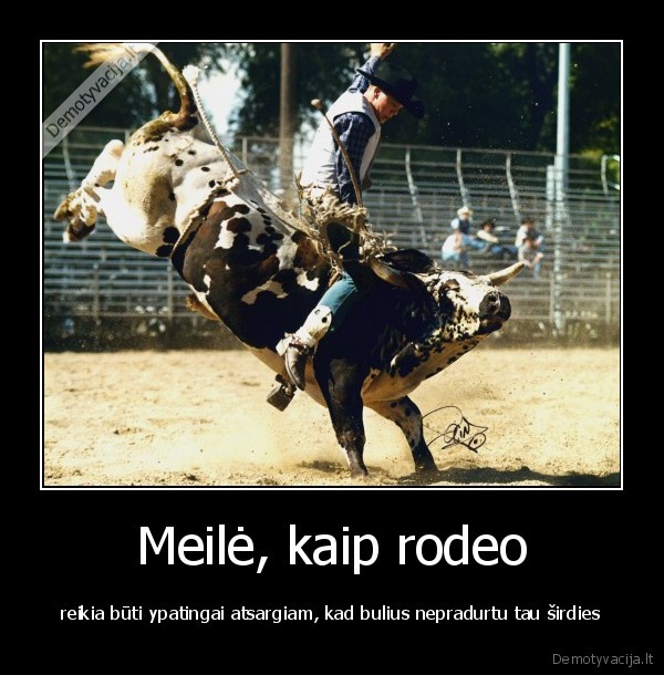 Meilė, kaip rodeo - reikia būti ypatingai atsargiam, kad bulius nepradurtu tau širdies