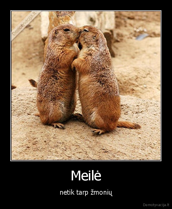 Meilė - netik tarp žmonių