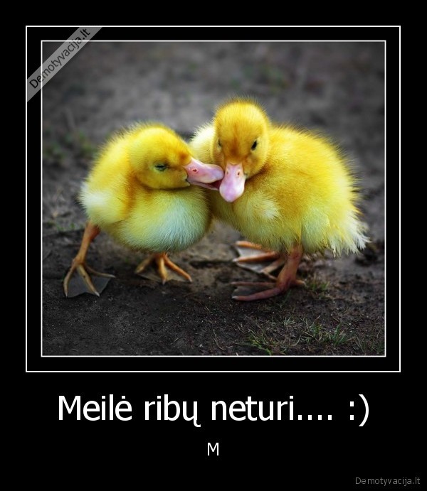 Meilė ribų neturi.... :) - M