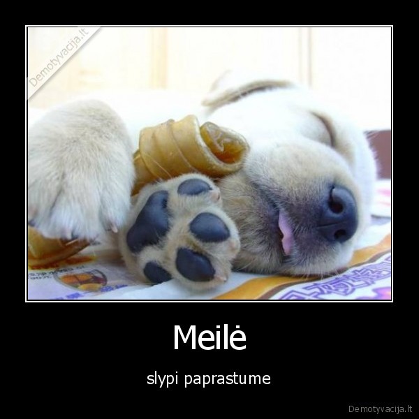 Meilė - slypi paprastume