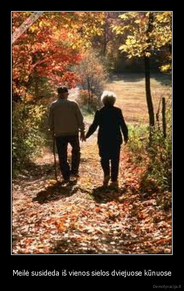 Meilė susideda iš vienos sielos dviejuose kūnuose - 