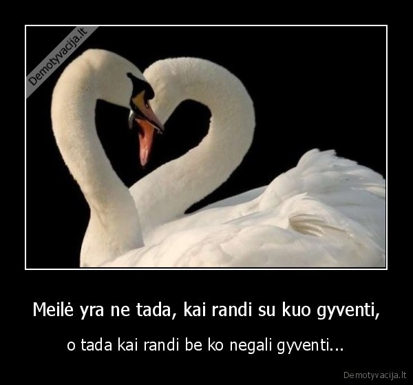 Meilė yra ne tada, kai randi su kuo gyventi, - o tada kai randi be ko negali gyventi...