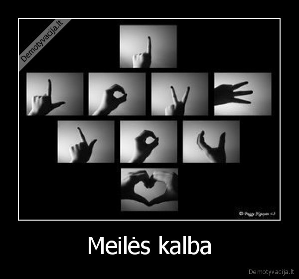 Meilės kalba - 