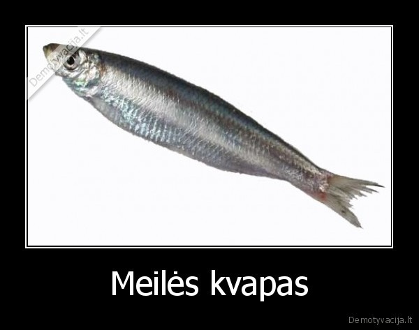 Meilės kvapas - 