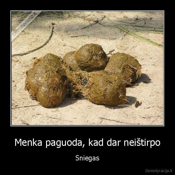 Menka paguoda, kad dar neištirpo - Sniegas