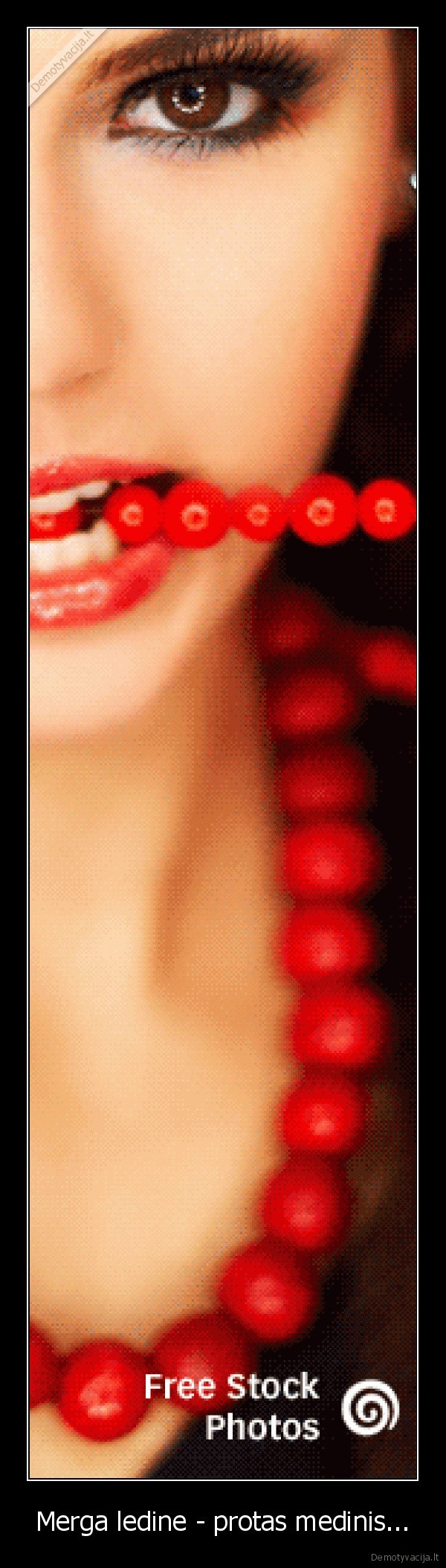 Merga ledine - protas medinis... - 