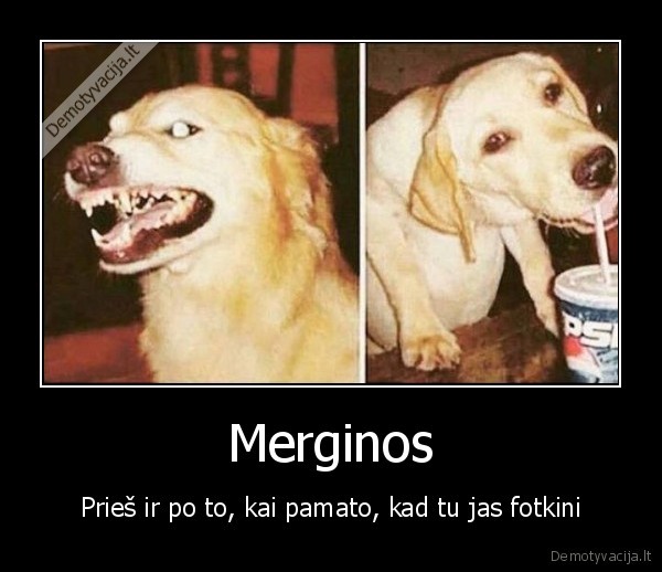 Merginos - Prieš ir po to, kai pamato, kad tu jas fotkini