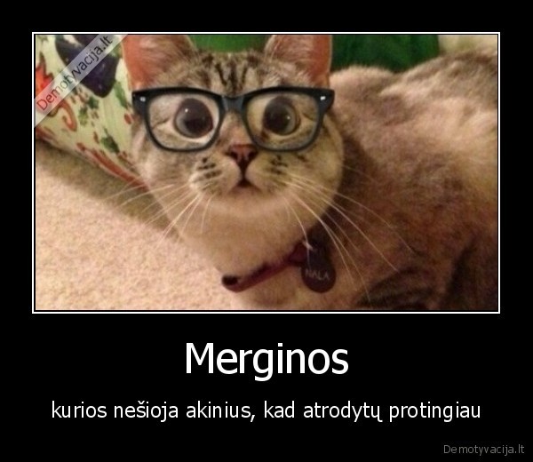 Merginos - kurios nešioja akinius, kad atrodytų protingiau