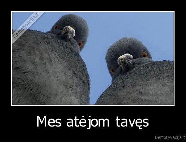 Mes atėjom tavęs - 